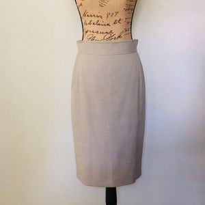 Classy Pencil Skirt